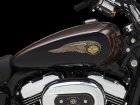 Harley-Davidson Harley Davidson XL 1200C Sportster Custom 110th Anniversary Edition